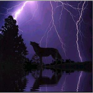 Meet your Posher, Dan